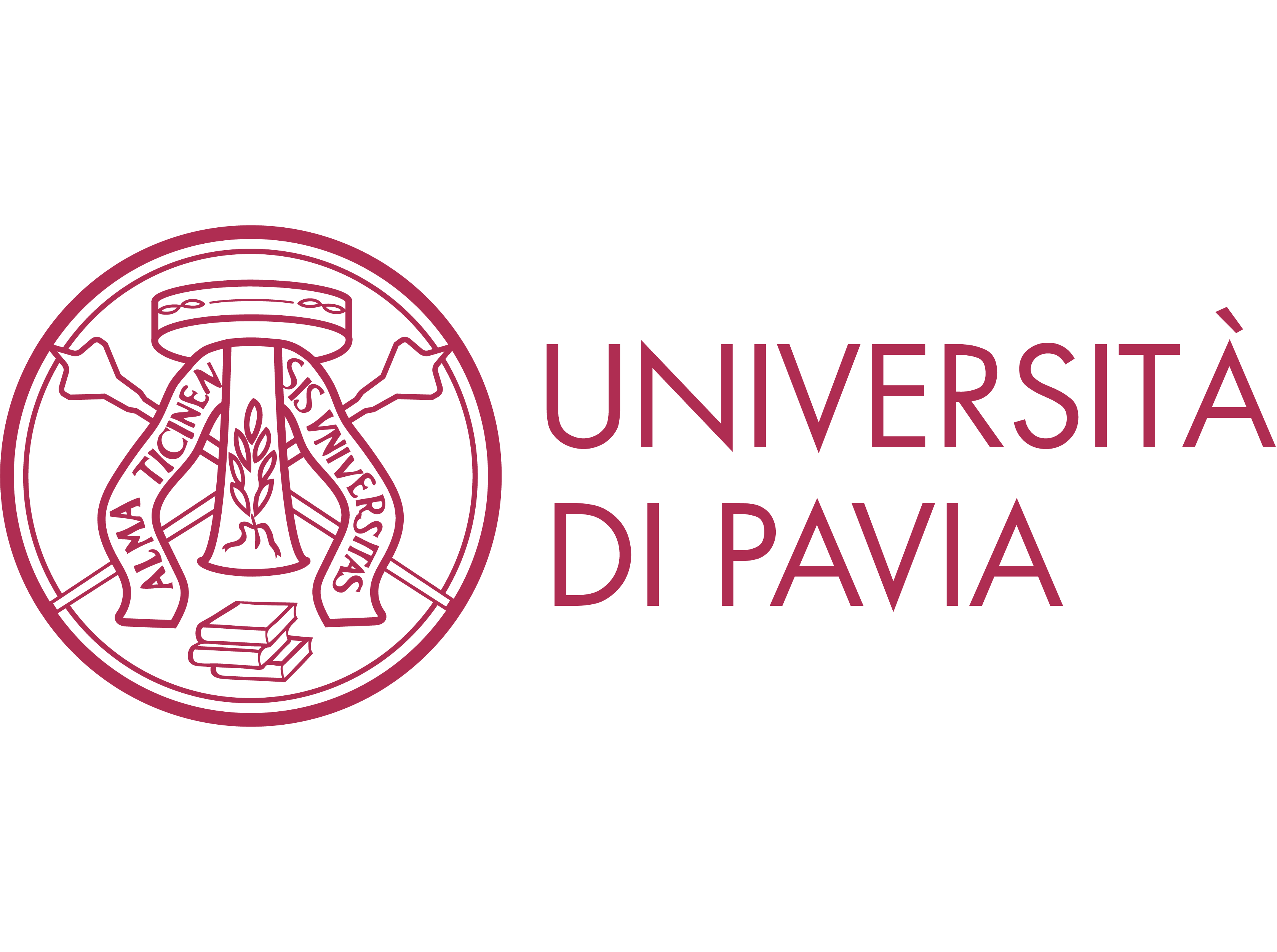 Logotype of University of Trieste. Says Universita degli studi di Trieste. On the left there is a picture of the university. Link leads to UNITS webpage. 